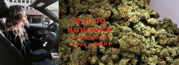 прущие грибы Нея