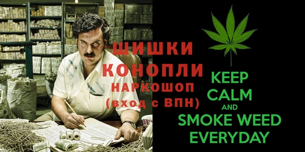MDMA Новодвинск
