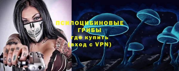 MDMA Новодвинск